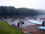 DSC06579.jpg